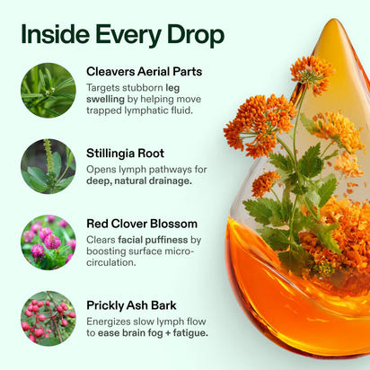 Lymphatic Drainage Wellness Drops